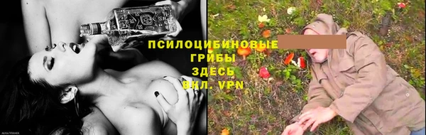 гидра Касимов