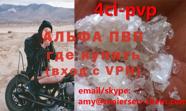 дживик Карпинск