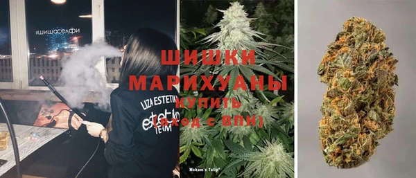 дживик Карпинск