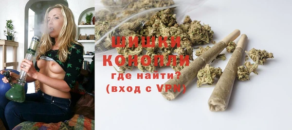 дживик Карпинск