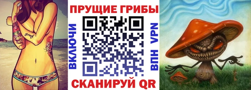 Псилоцибиновые грибы Psilocybe  где найти   Назарово 