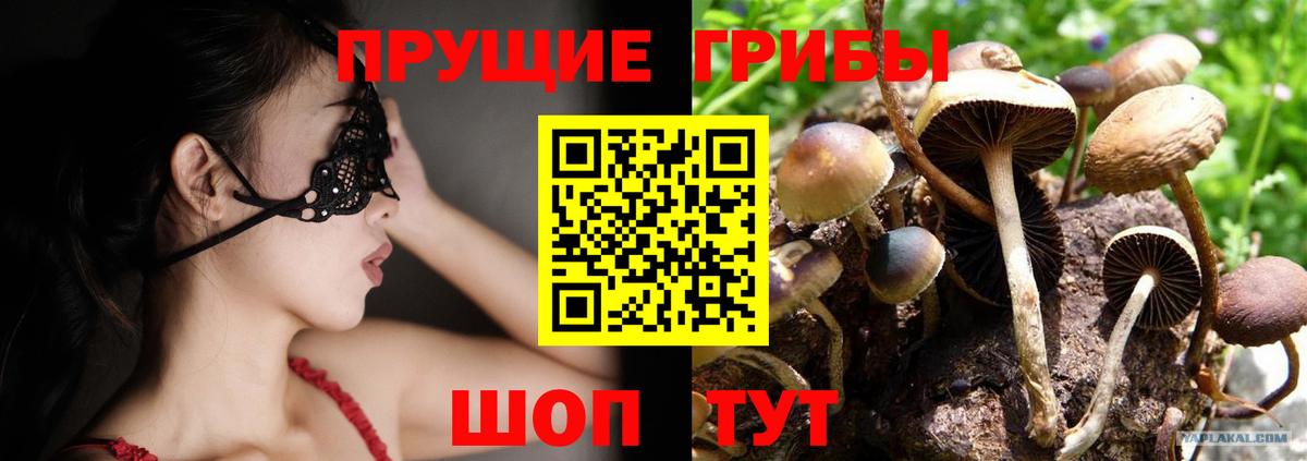 Галлюциногенные грибы Magic Shrooms  Вход с VPN  Назарово 